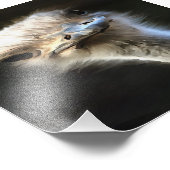 Impression Photo Portrait Artistique Ostrich Avec Expression Goofy (Coin)