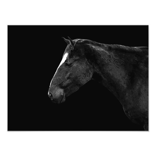 Impression Photo Portrait de cheval (Devant)