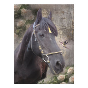 Impression Photo Portrait de cheval frison - Affiche