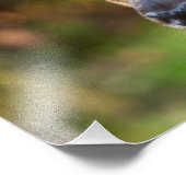 Impression Photo Portrait de Deer Fawn (Coin)