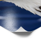 Impression Photo Portrait de l'aigle chauve avec étoiles (Coin)