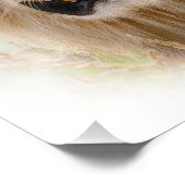 Impression Photo Portrait de lion (Coin)