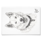 Impression Photo Portrait de Loki (Devant)