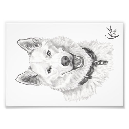 Impression Photo Portrait de Loki (Devant)