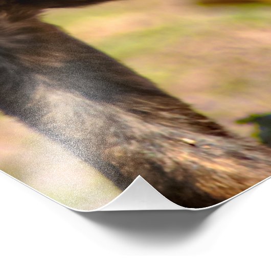 Impression Photo Portrait de profil de chiot (Coin)