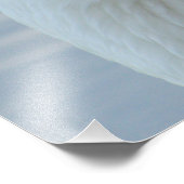 Impression Photo Portrait d'oie blanche (Coin)