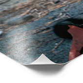 Impression Photo Portrait du chat (Coin)