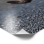 Impression Photo Portrait d'un chat (Coin)