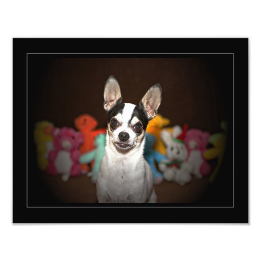 Impression Photo Portrait d'un chihuahua (Devant)