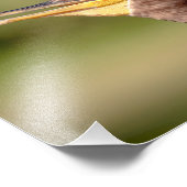 Impression Photo Portrait d'un Cormorant (Coin)