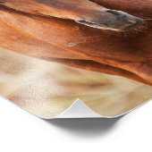 Impression Photo Portrait d'un Mustang sauvage (Coin)
