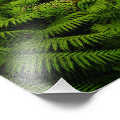 Impression Photo Portrait Feuille de Fern (Coin)