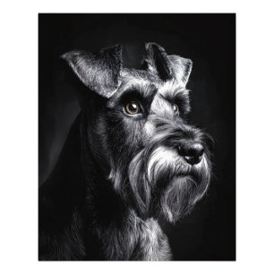 Impression Photo Portrait monochrome de Schnauzer