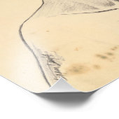 Impression Photo Portrait Néfertiti dessin Ancienne Egypte papyrus (Coin)