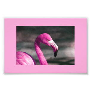 Impression Photo Posine de Flamant rose rose