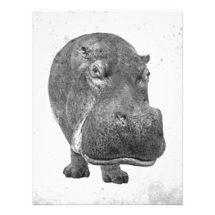 Impression Photo Poster/Imprimer en style Vintage Hippopotamus!