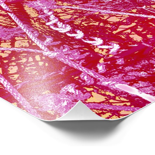 IMPRESSION PHOTO POTS DE CRABES (Coin)