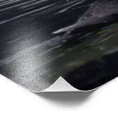 Impression Photo Pouffins touffus de l'Alaska (Coin)