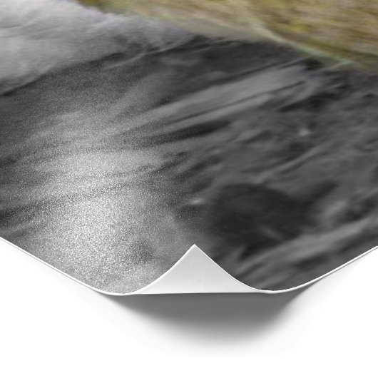 Impression Photo Poules de Silkie avec poules Pékin hors des plumes (Coin)