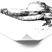 Impression Photo Poulet de Cochin (Coin)