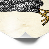 Impression Photo Poulet de roche Plymouth Barred classique Hen (Coin)