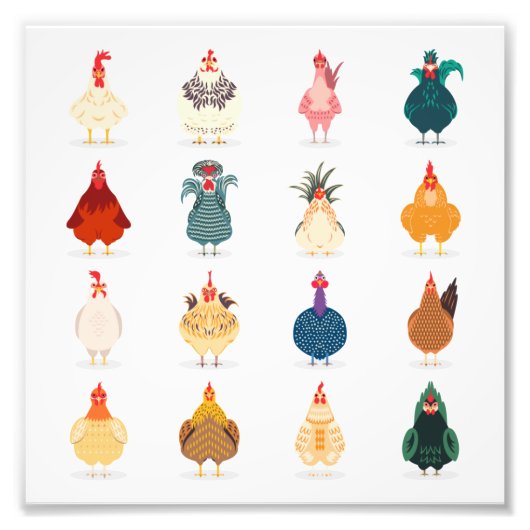 Impression Photo Poulet mou (Devant)
