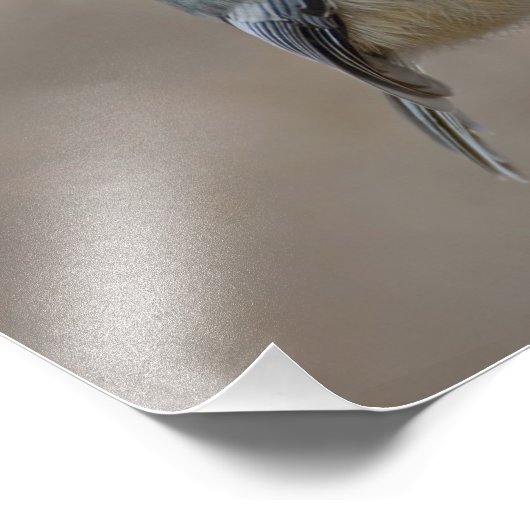 Impression Photo Poulet sur Branche séchée Nature douce et neutre (Coin)