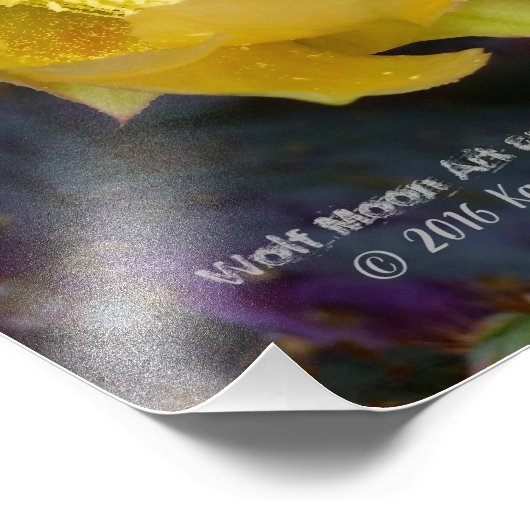 Impression Photo Poulet Violet Pear Opuntia Cactus / Fleur Jaune (Coin)