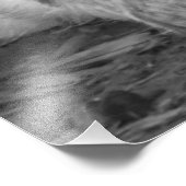 Impression Photo Poulets noirs et blancs en soie avec poulets jaune (Coin)