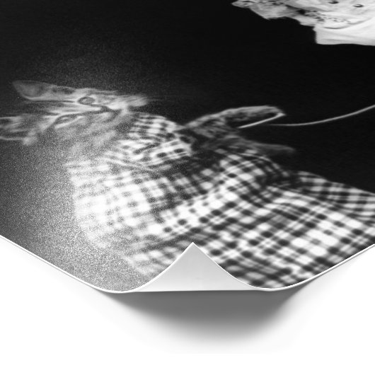 Impression Photo Poupée et chatons sauter (Coin)