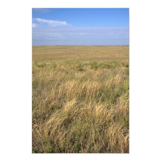 Impression Photo Prairie de prairie à l'est de Sidney, Nebraska. (Devant)