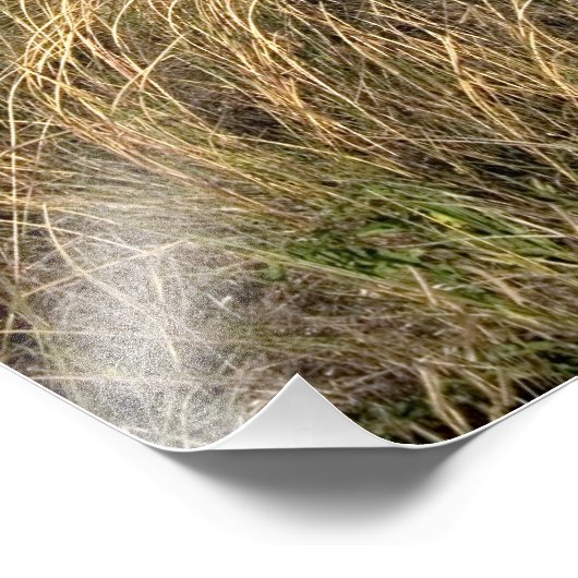 Impression Photo Prairies à l'est de Sidney, Nebraska. (Coin)