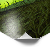 Impression Photo Prairies Aurora (Coin)