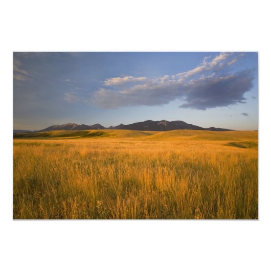 Impression Photo Prairies dans les contreforts de (Devant)