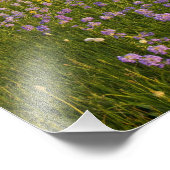 Impression Photo Pré des fleurs sauvages pénètrés dans les 2 (Coin)