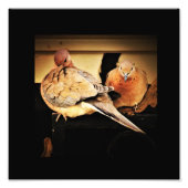 Impression Photo Préface (Devant)