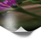 Impression Photo Premier colibri (Coin)