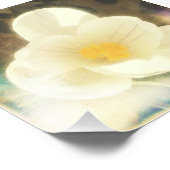 Impression Photo Première fleur du printemps (Coin)