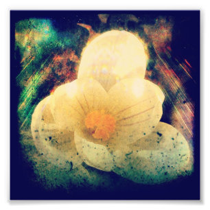 Impression Photo Première fleur du printemps