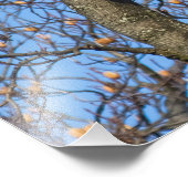 Impression Photo Prenez Le Saut ! (Coin)