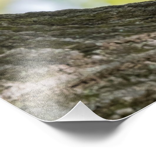 Impression Photo Prier Chipmunk (Coin)