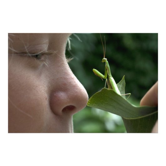 Impression Photo Prier Mantis (Devant)