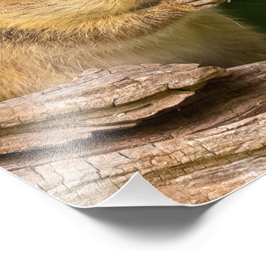 Impression Photo Prière Chipmunk (Coin)