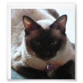 Impression Photo Princesse (Devant)