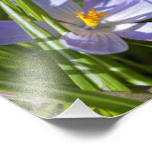 Impression Photo Printemps (Coin)