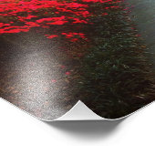 Impression Photo Printemps À Savannah (Coin)