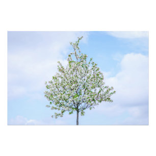 Impression Photo Printemps - Bonne Pâques