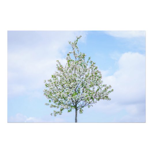 Impression Photo Printemps - Bonne Pâques (Devant)