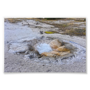 Impression Photo Printemps des coquilles dans le parc national de Y