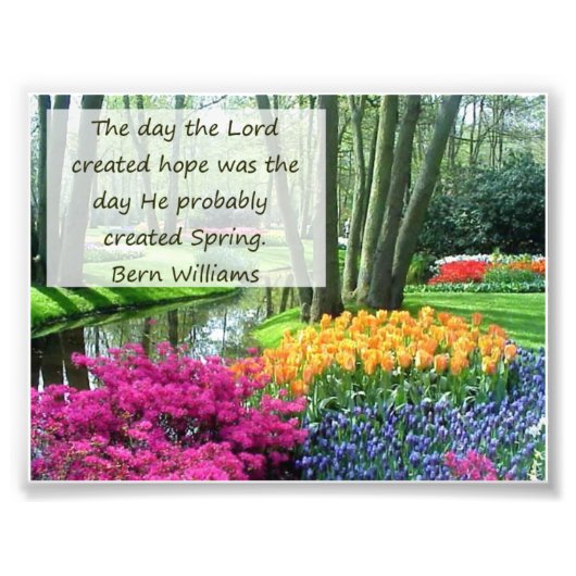 Impression Photo Printemps et espoir Imprimer (Devant)